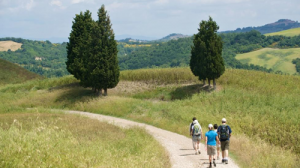 Marche-Toscane